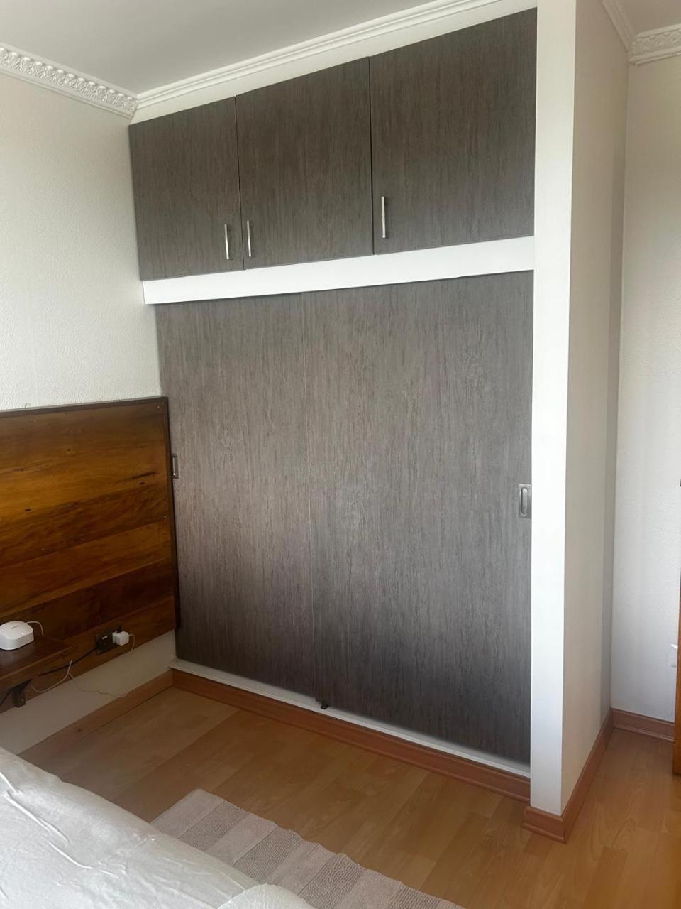 Apartament Edificio Guadalauquen Valdivia Zewnętrze zdjęcie