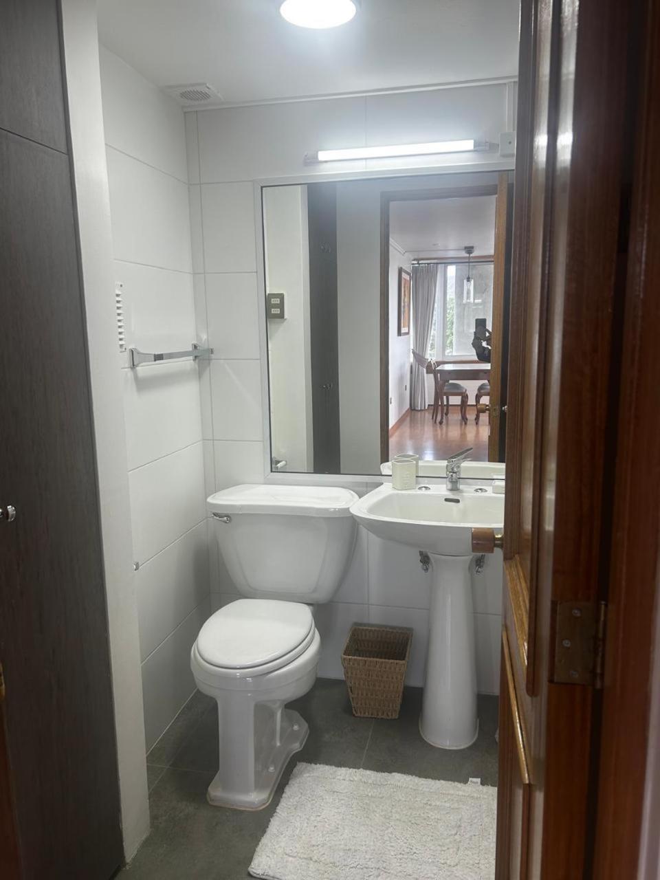 Apartament Edificio Guadalauquen Valdivia Zewnętrze zdjęcie