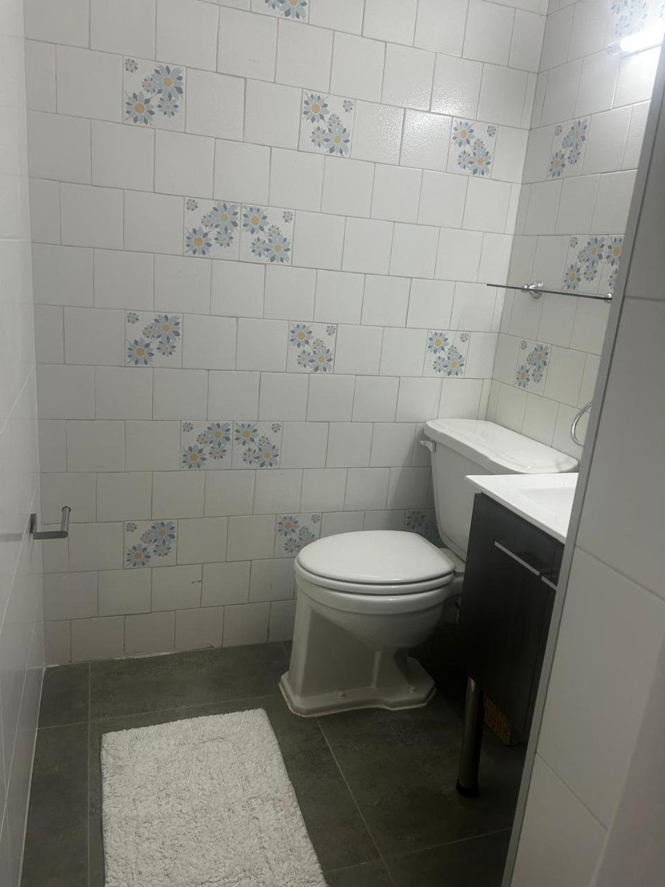 Apartament Edificio Guadalauquen Valdivia Zewnętrze zdjęcie