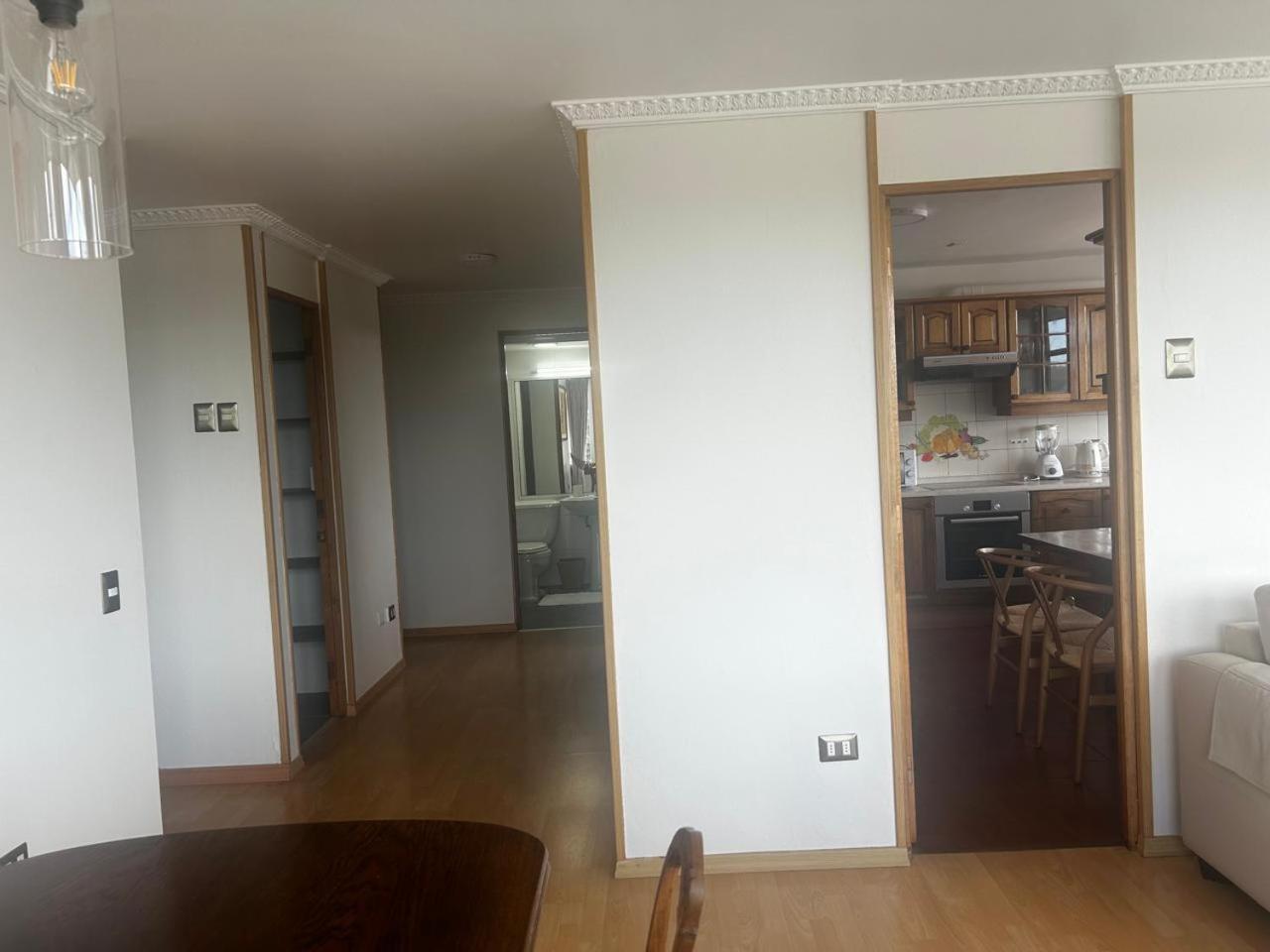 Apartament Edificio Guadalauquen Valdivia Zewnętrze zdjęcie