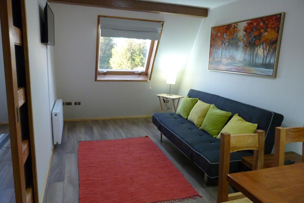 Apartament Edificio Guadalauquen Valdivia Zewnętrze zdjęcie